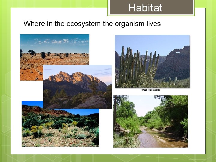 Habitat Where in the ecosystem the organism lives 