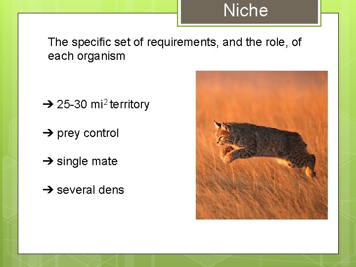 Niche The specific set of requirements, and the role, of each organism ➔ 25