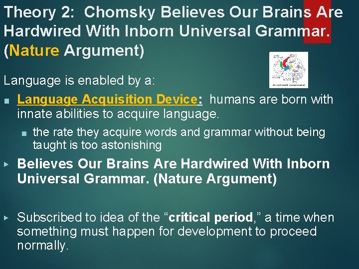 Theory 2: Chomsky Believes Our Brains Are Hardwired With Inborn Universal Grammar. (Nature Argument)
