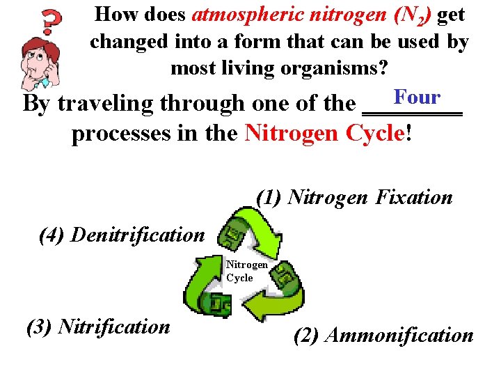 How does atmospheric nitrogen (N 2) get changed into a form that can be