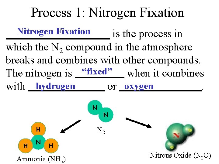 Process 1: Nitrogen Fixation __________ is the process in which the N 2 compound