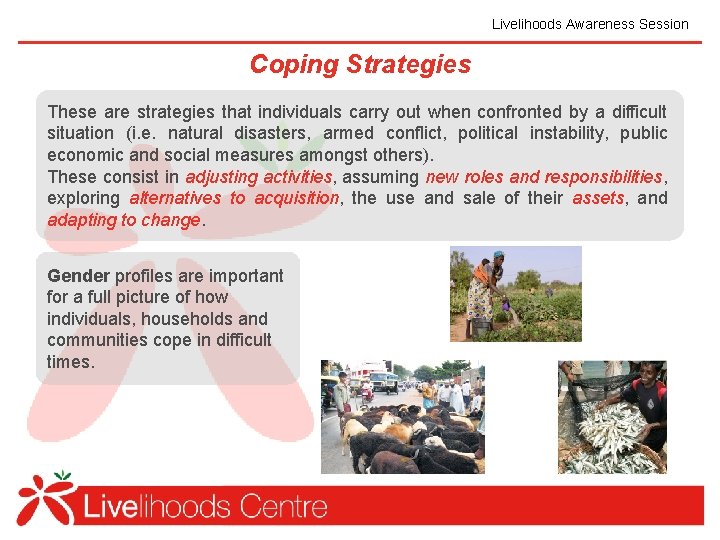 Livelihoods Awareness Session Coping Strategies These are strategies that individuals carry out when confronted