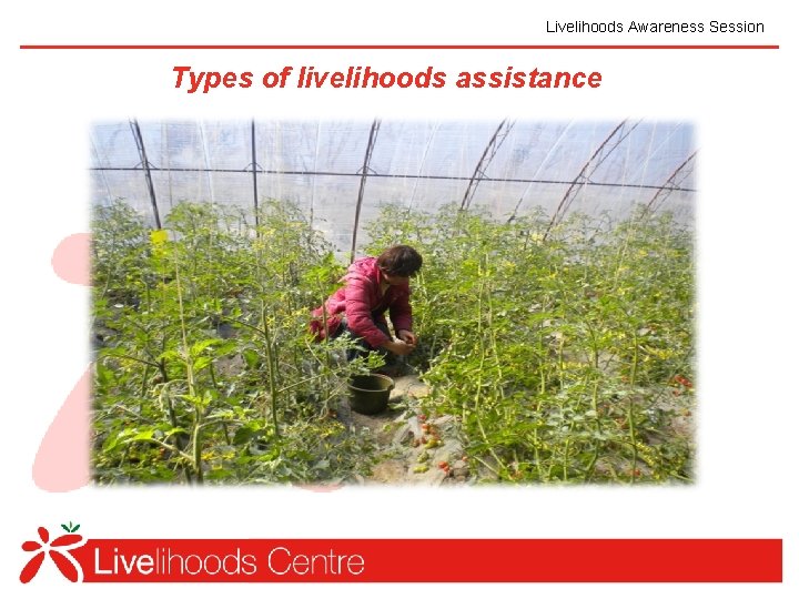 Livelihoods Awareness Session Types of livelihoods assistance 