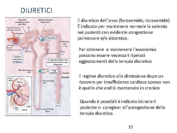 DIURETICI Il diuretico dell’ansa (furosemide, torasemide) È indicato per mantenere normale la volemia nei