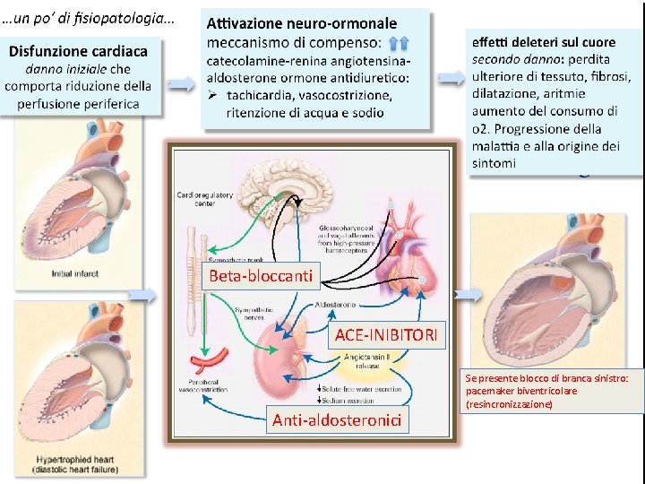 Beta-bloccanti ACE-INIBITORI Anti-aldosteronici Se presente blocco di branca sinistro: pacemaker biventricolare (resincronizzazione) 