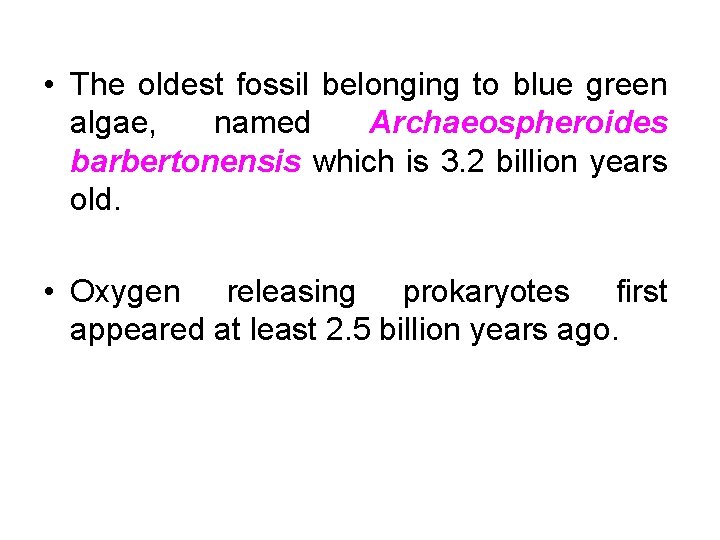  • The oldest fossil belonging to blue green algae, named Archaeospheroides barbertonensis which