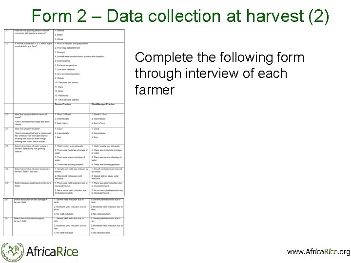 Form 2 – Data collection at harvest (2) Complete the following form through interview