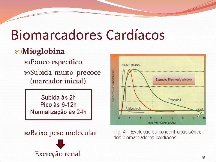 Biomarcadores Cardíacos Mioglobina Pouco específico Subida muito precoce (marcador inicial) Subida às 2 h