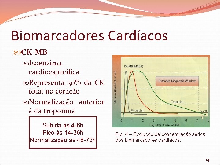 Biomarcadores Cardíacos CK-MB Isoenzima cardioespecífica Representa 30% da CK total no coração Normalização anterior