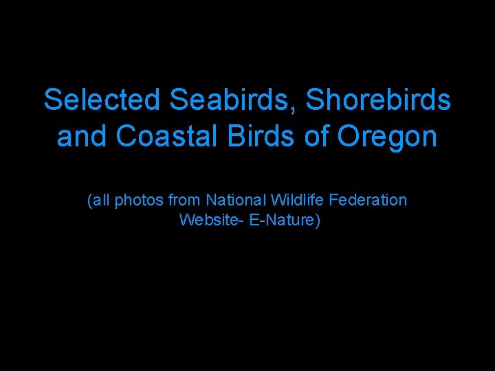 Selected Seabirds, Shorebirds and Coastal Birds of Oregon (all photos from National Wildlife Federation