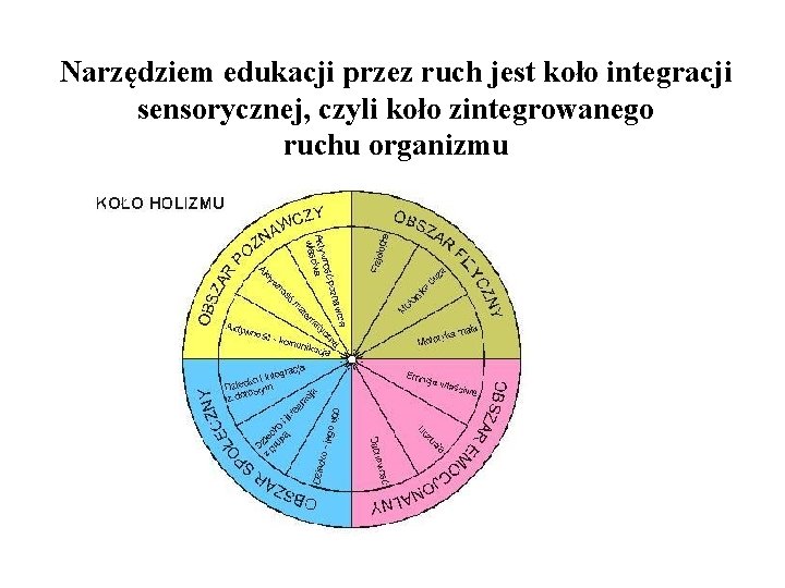 Narzędziem edukacji przez ruch jest koło integracji sensorycznej, czyli koło zintegrowanego ruchu organizmu 