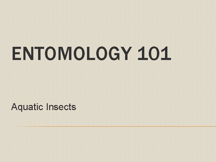 ENTOMOLOGY 101 Aquatic Insects 