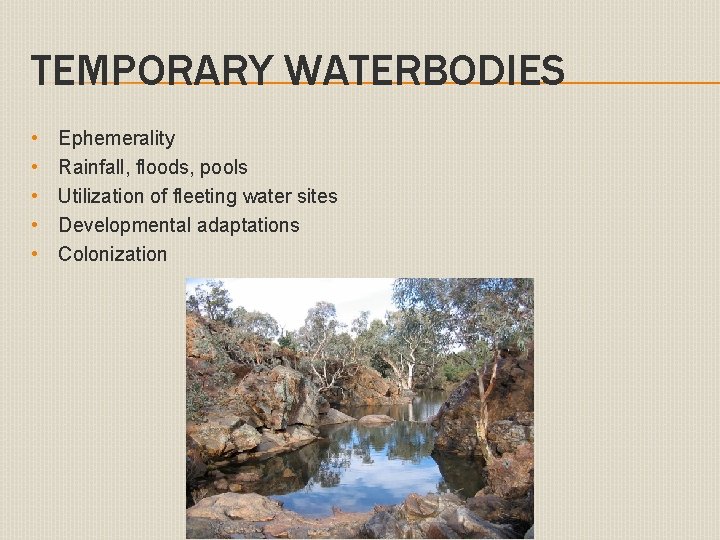 TEMPORARY WATERBODIES • • • Ephemerality Rainfall, floods, pools Utilization of fleeting water sites