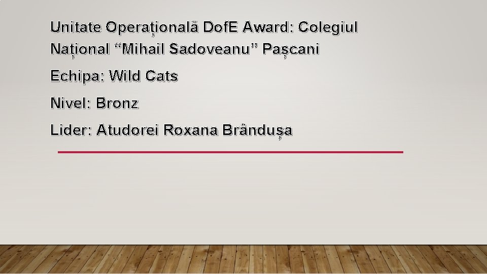 Unitate Operațională Dof. E Award: Colegiul Național “Mihail Sadoveanu” Pașcani Echipa: Wild Cats Nivel: