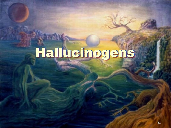 Hallucinogens 51 