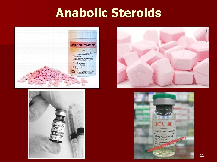 Anabolic Steroids 61 