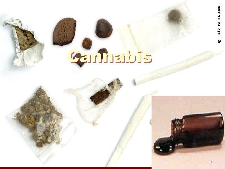Cannabis 8 