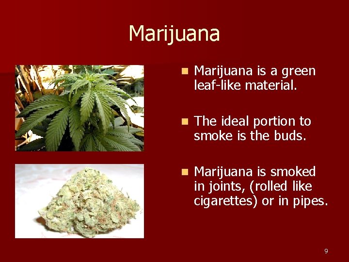 Marijuana n Marijuana is a green leaf-like material. n The ideal portion to smoke