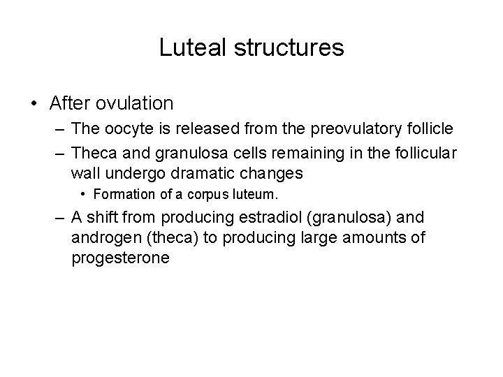 Luteal structures • After ovulation – The oocyte is released from the preovulatory follicle