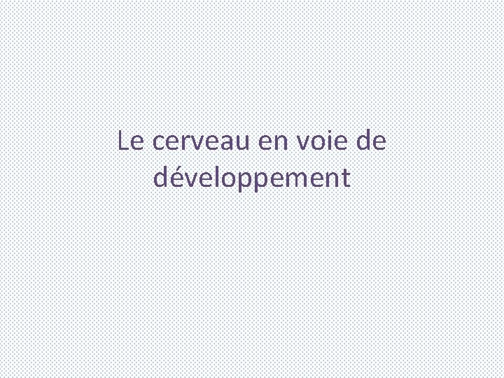 Le cerveau en voie de développement 