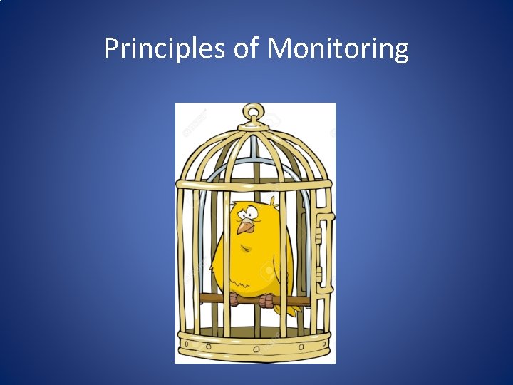 Principles of Monitoring 