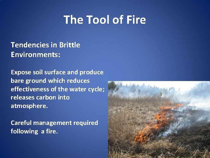 The Tool of Fire Tendencies in Brittle Environments: Expose soil surface and produce bare