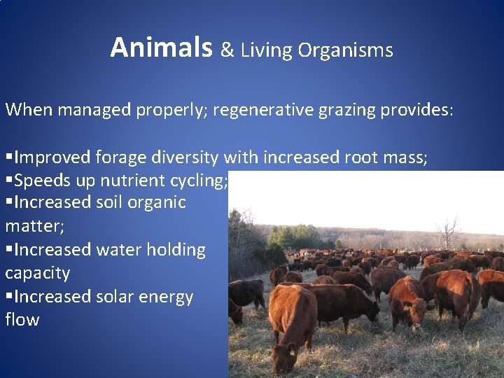 Animals & Living Organisms When managed properly; regenerative grazing provides: §Improved forage diversity with