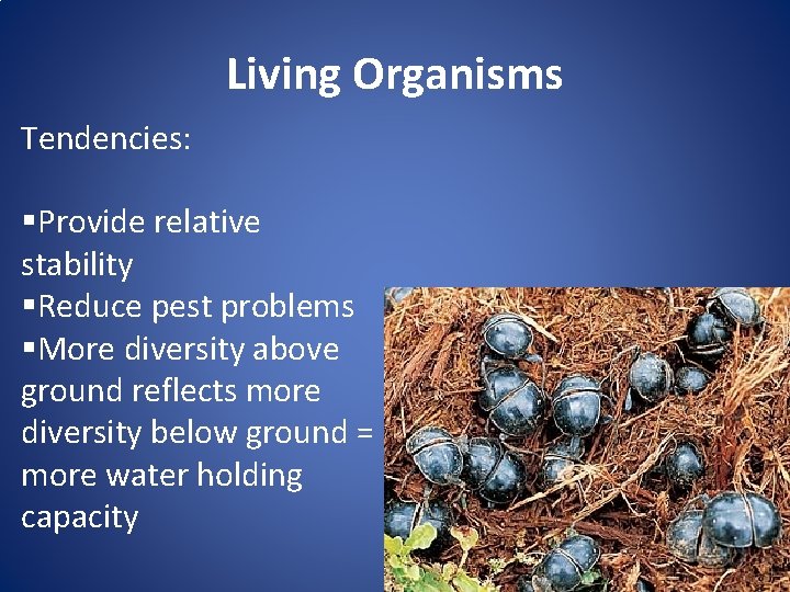 Living Organisms Tendencies: §Provide relative stability §Reduce pest problems §More diversity above ground reflects