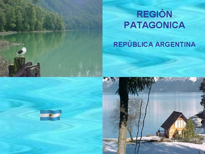 REGIÓN PATAGONICA REPÚBLICA ARGENTINA 