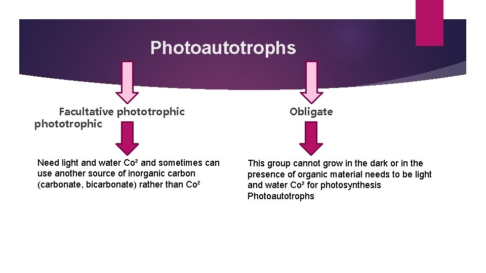 Photoautotrophs Facultative phototrophic Need light and water Co² and sometimes can use another source