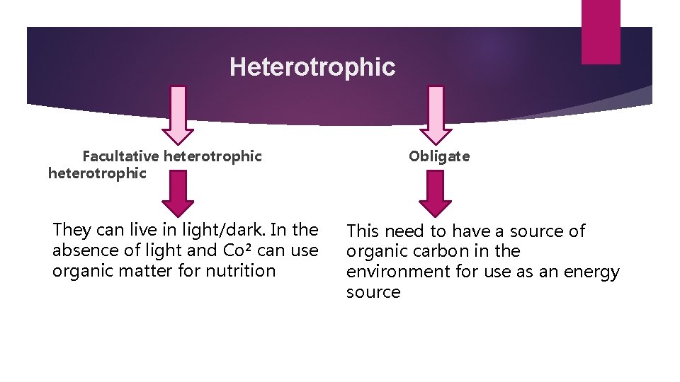 Heterotrophic Facultative heterotrophic They can live in light/dark. In the absence of light and