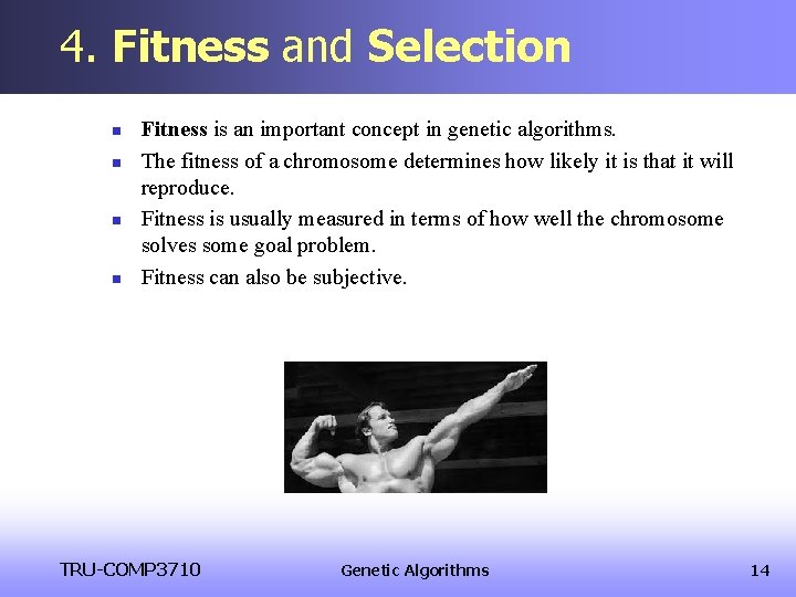 4. Fitness and Selection n n Fitness is an important concept in genetic algorithms. 4. Fitness and Selection n n Fitness is an important concept in genetic algorithms.