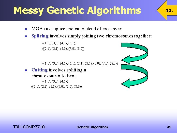 Messy Genetic Algorithms n n 10. MGAs use splice and cut instead of crossover. Messy Genetic Algorithms n n 10. MGAs use splice and cut instead of crossover.