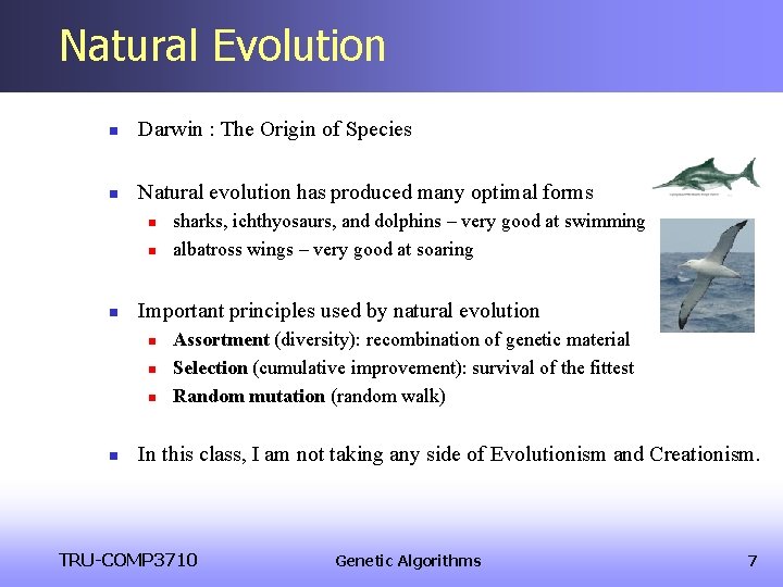 Natural Evolution n Darwin : The Origin of Species n Natural evolution has produced Natural Evolution n Darwin : The Origin of Species n Natural evolution has produced