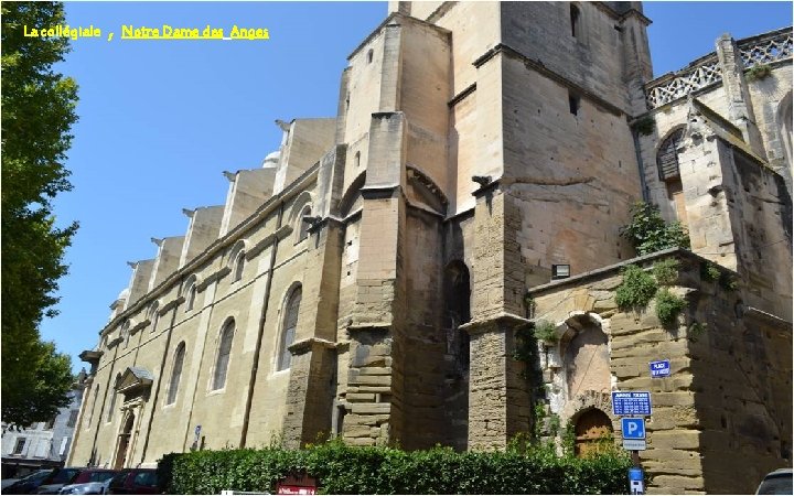 La collégiale , Notre Dame des Anges 