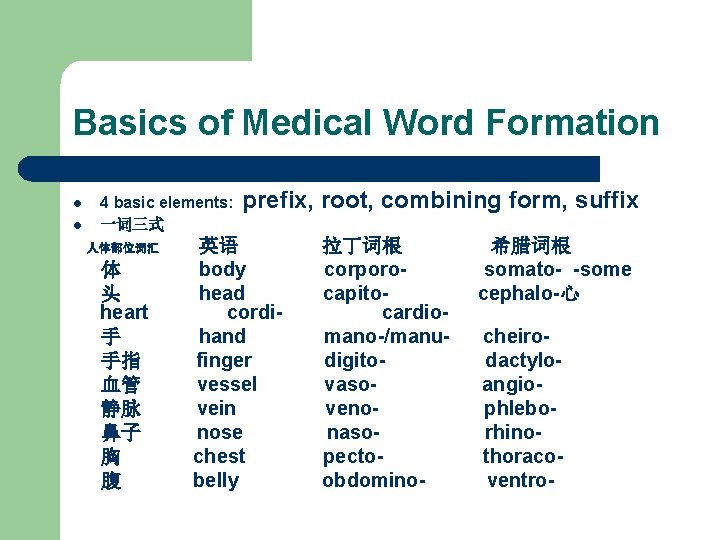 Basics of Medical Word Formation l l 4 basic elements: 一词三式 人体部位词汇 体 头