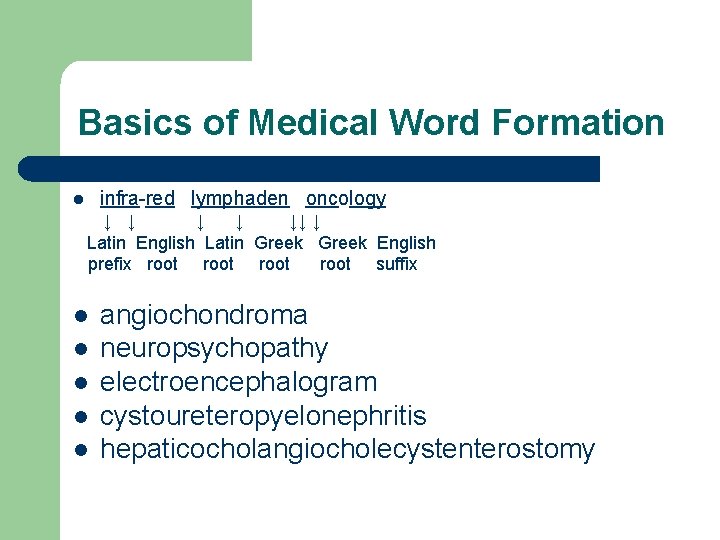 Basics of Medical Word Formation infra-red lymphaden oncology l ↓ ↓ ↓↓ ↓ Latin