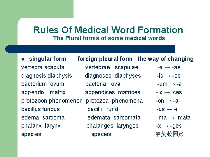 Rules Of Medical Word Formation The Plural forms of some medical words singular form
