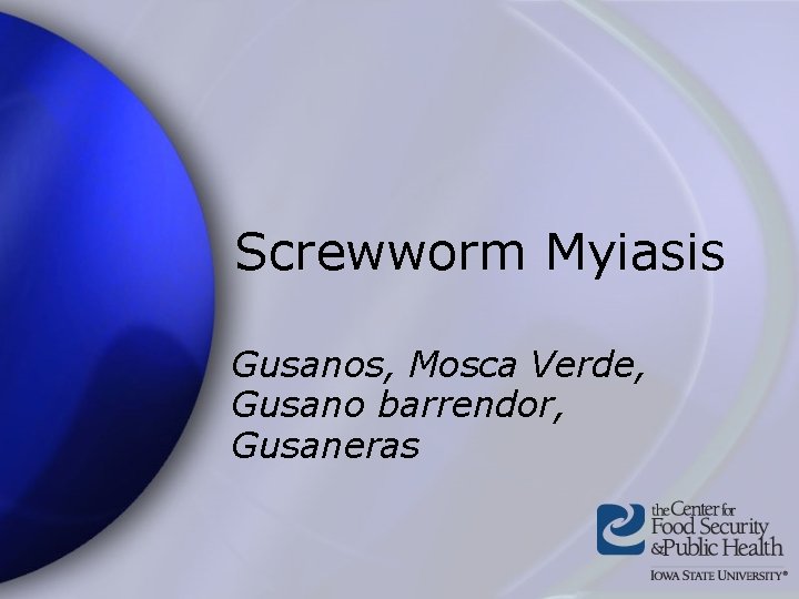 Screwworm Myiasis Gusanos, Mosca Verde, Gusano barrendor, Gusaneras 
