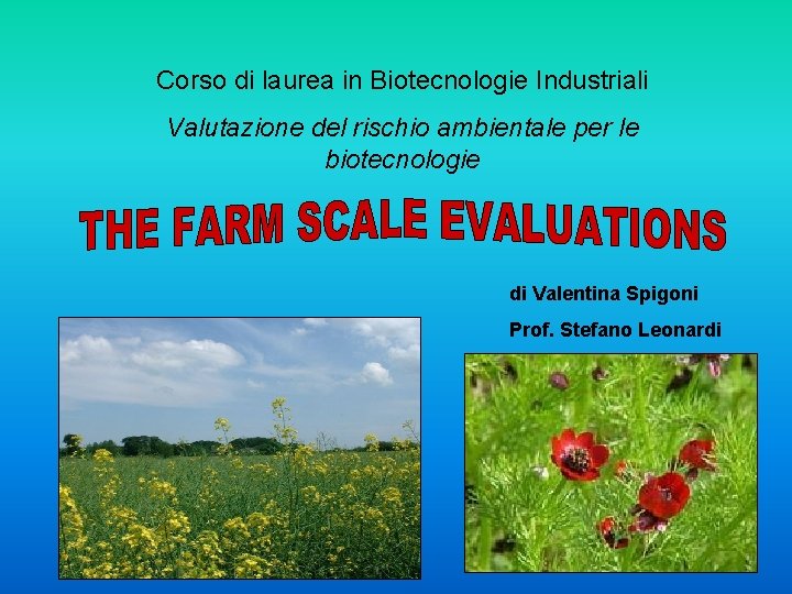 Corso di laurea in Biotecnologie Industriali Valutazione del rischio ambientale per le biotecnologie di