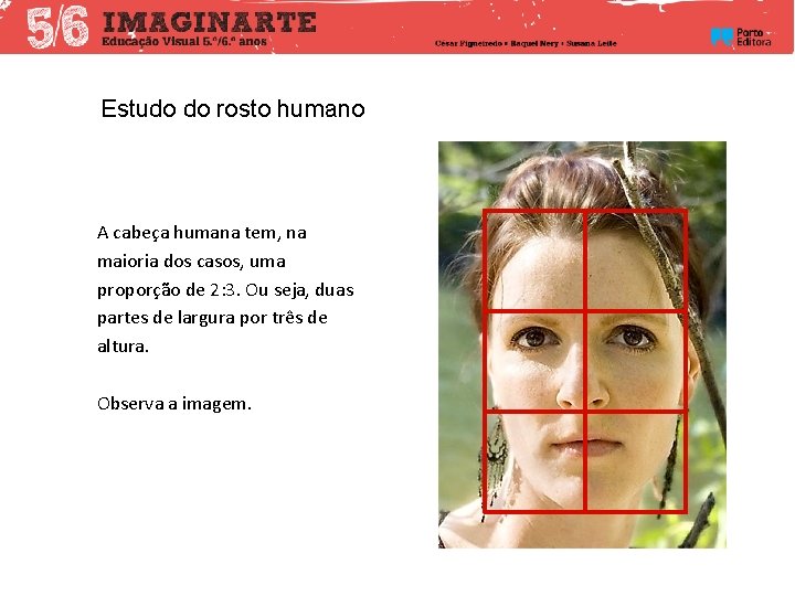 Estudo do rosto humano A cabeça humana tem, na maioria dos casos, uma proporção