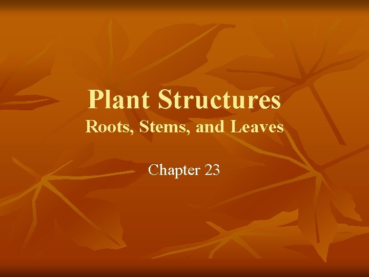 Plant Structures Roots, Stems, and Leaves Chapter 23 