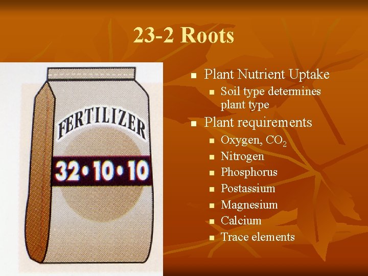 23 -2 Roots n Plant Nutrient Uptake n n Soil type determines plant type