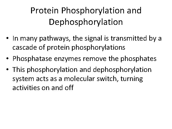 Protein Phosphorylation and Dephosphorylation • In many pathways, the signal is transmitted by a