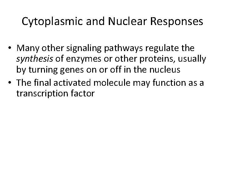 Cytoplasmic and Nuclear Responses • Many other signaling pathways regulate the synthesis of enzymes