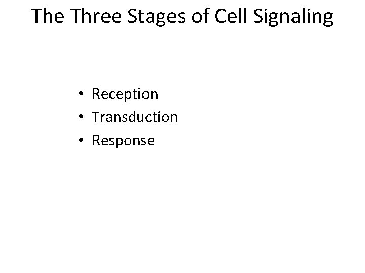 The Three Stages of Cell Signaling • Reception • Transduction • Response 