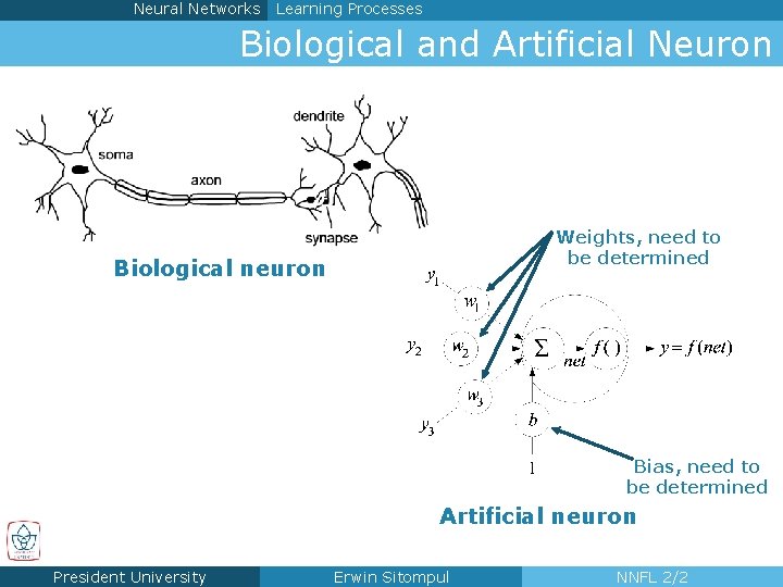 Neural Networks Learning Processes Biological and Artificial Neuron Weights, need to be determined Biological