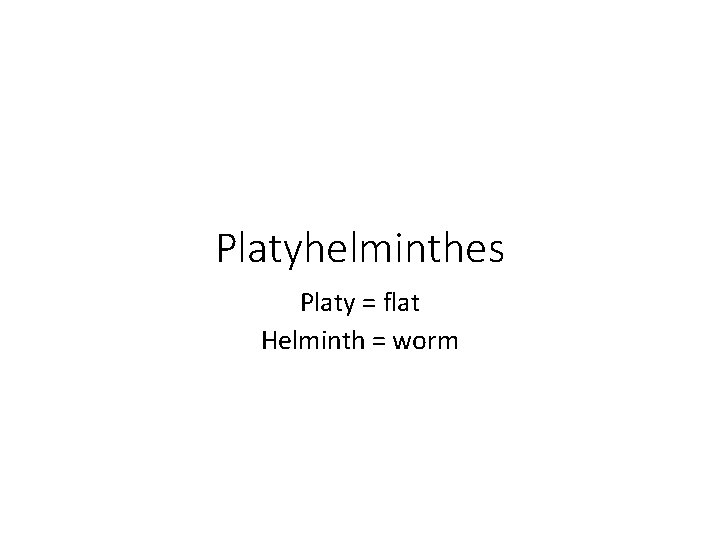 Platyhelminthes Platy = flat Helminth = worm Platyhelminthes Platy = flat Helminth = worm