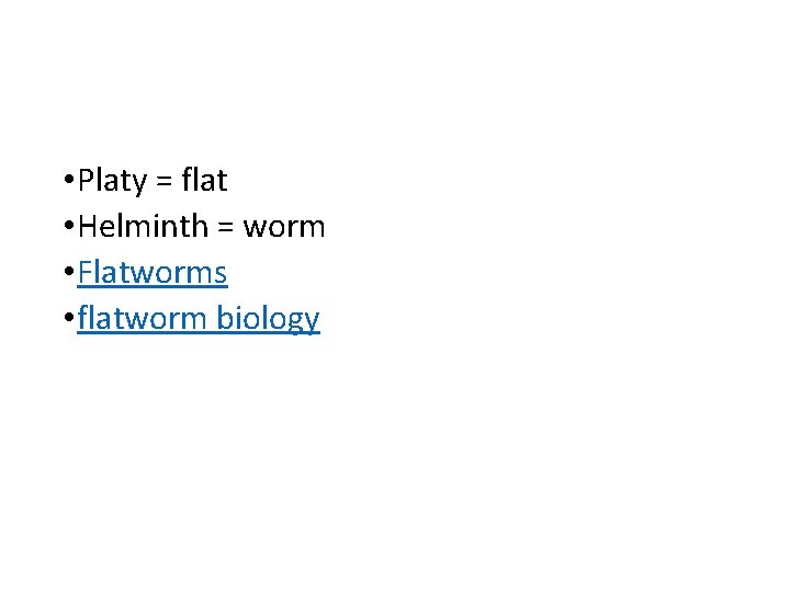 • Platy = flat • Helminth = worm • Flatworms • flatworm biology • Platy = flat • Helminth = worm • Flatworms • flatworm biology