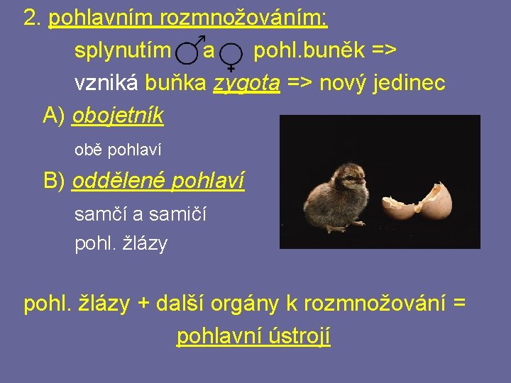 2. pohlavním rozmnožováním: splynutím a pohl. buněk => vzniká buňka zygota => nový jedinec